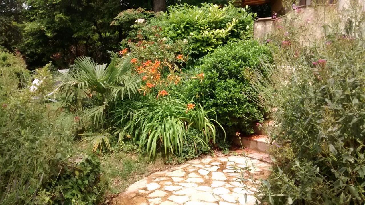 La Bousquatiere Bed & Breakfast Piolenc Exterior foto