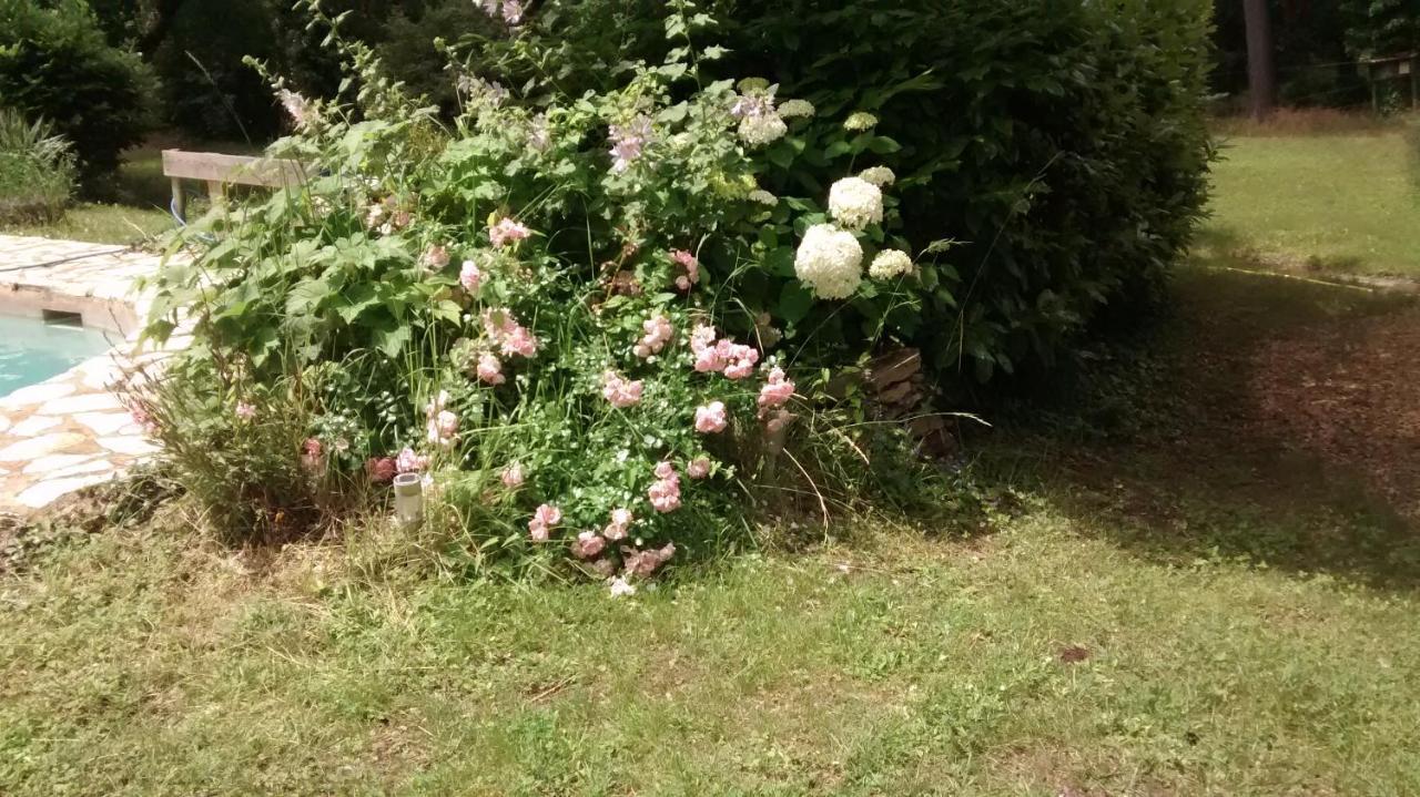La Bousquatiere Bed & Breakfast Piolenc Exterior foto